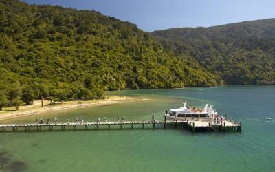 Visitors at Ship Cover in the Marlborough Sounds
