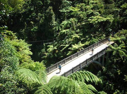 Aerial photo of walkers on the Bridge to Nowhere, Whanganui River