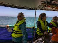 Day 3 Cruise Chaddys Lifeboat Sugar Loaf Islands Guests