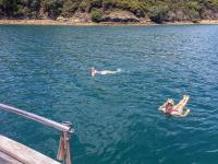 Swimming on Great Barrier Island