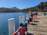 MoaTours guests enjoying fishing from Tryphena Wharf, Great Barrier Island