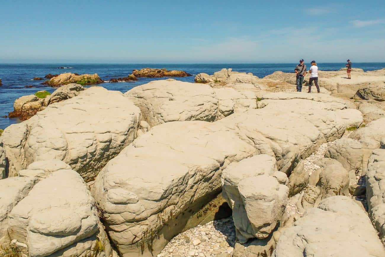 See the "Dinosaur Eggs" on the new Kaikoura foreshore