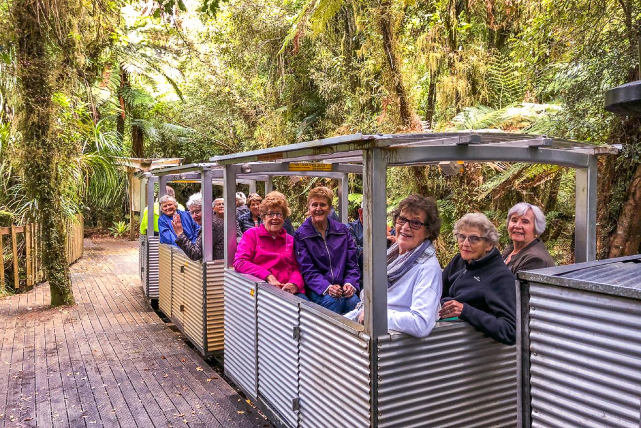 Guests on the Nile River rainforest train on the West Coast