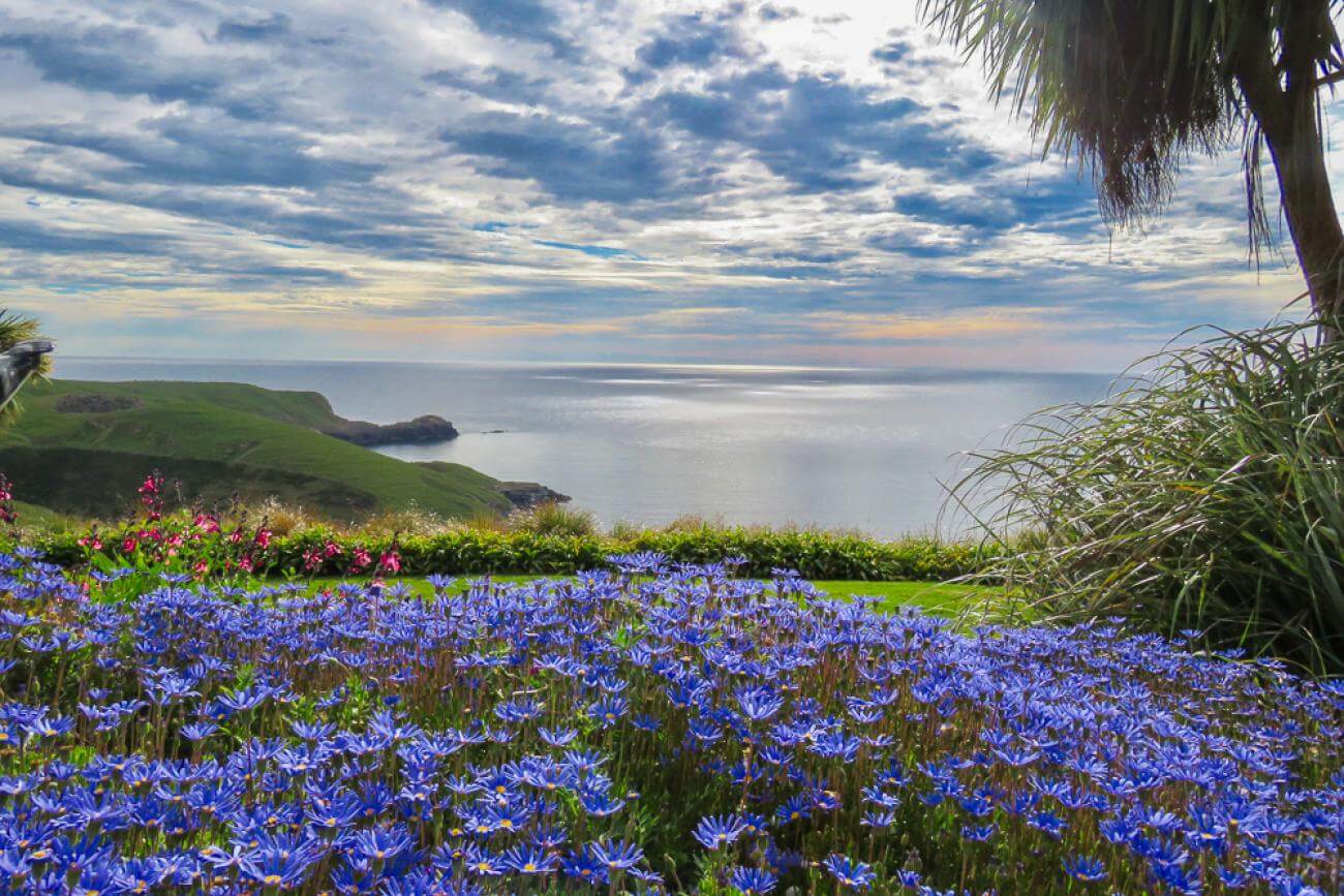 Evening views from Fishermans Bay Garden