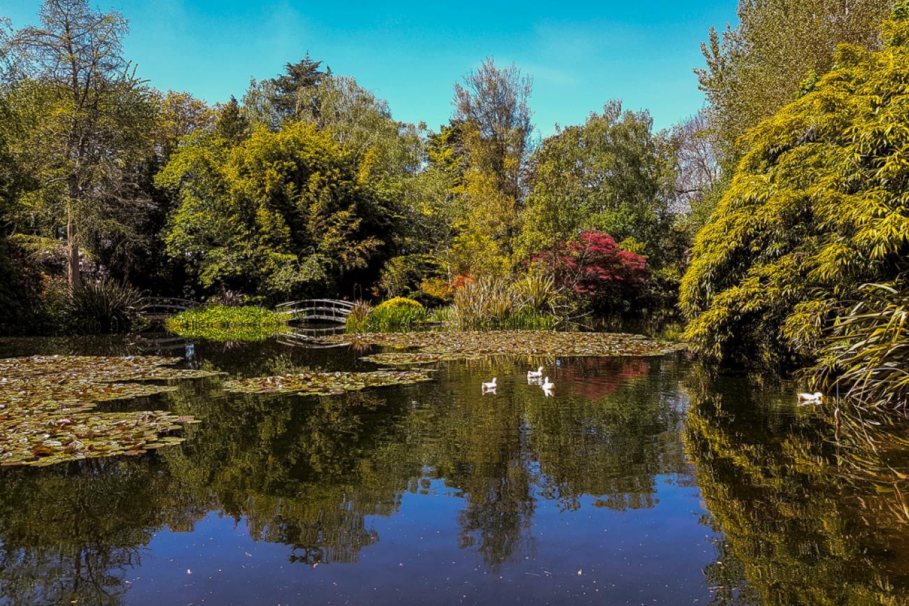 The Duck Pond at Flaxmere Farm in Canterbury