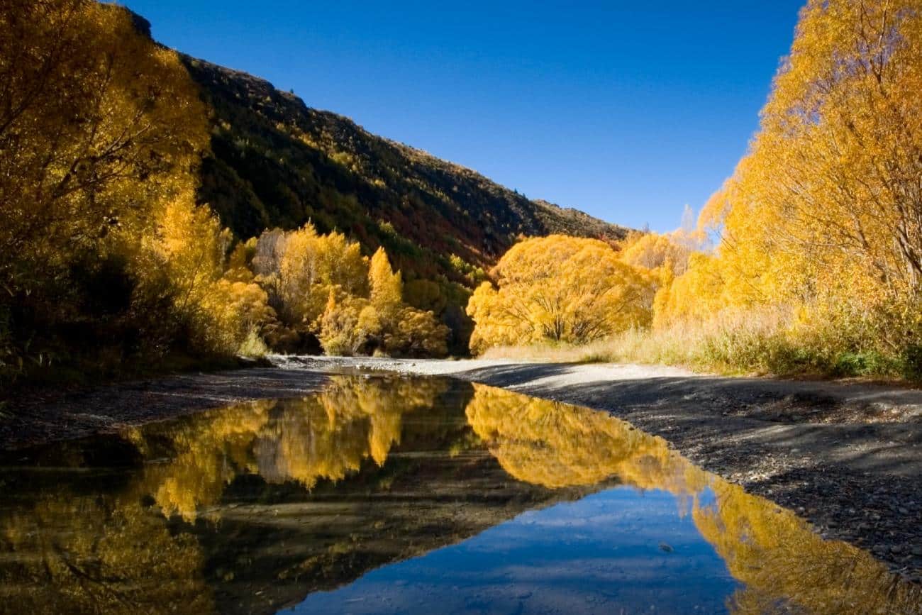 Autumn Travel in New Zealand - Autumn colours by the Arrow River