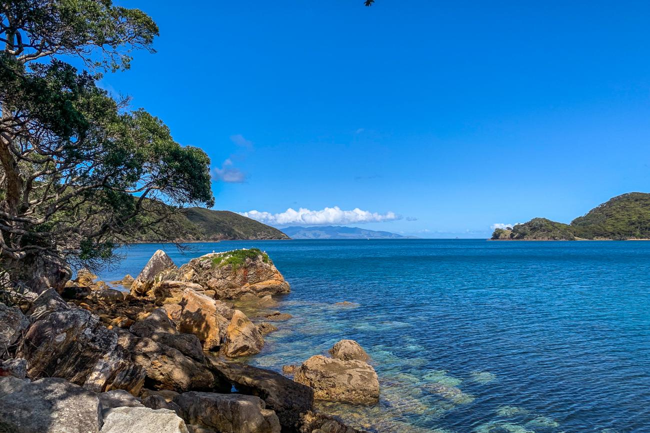 Views of Whangaparapara Harbour on Great Barrier Island