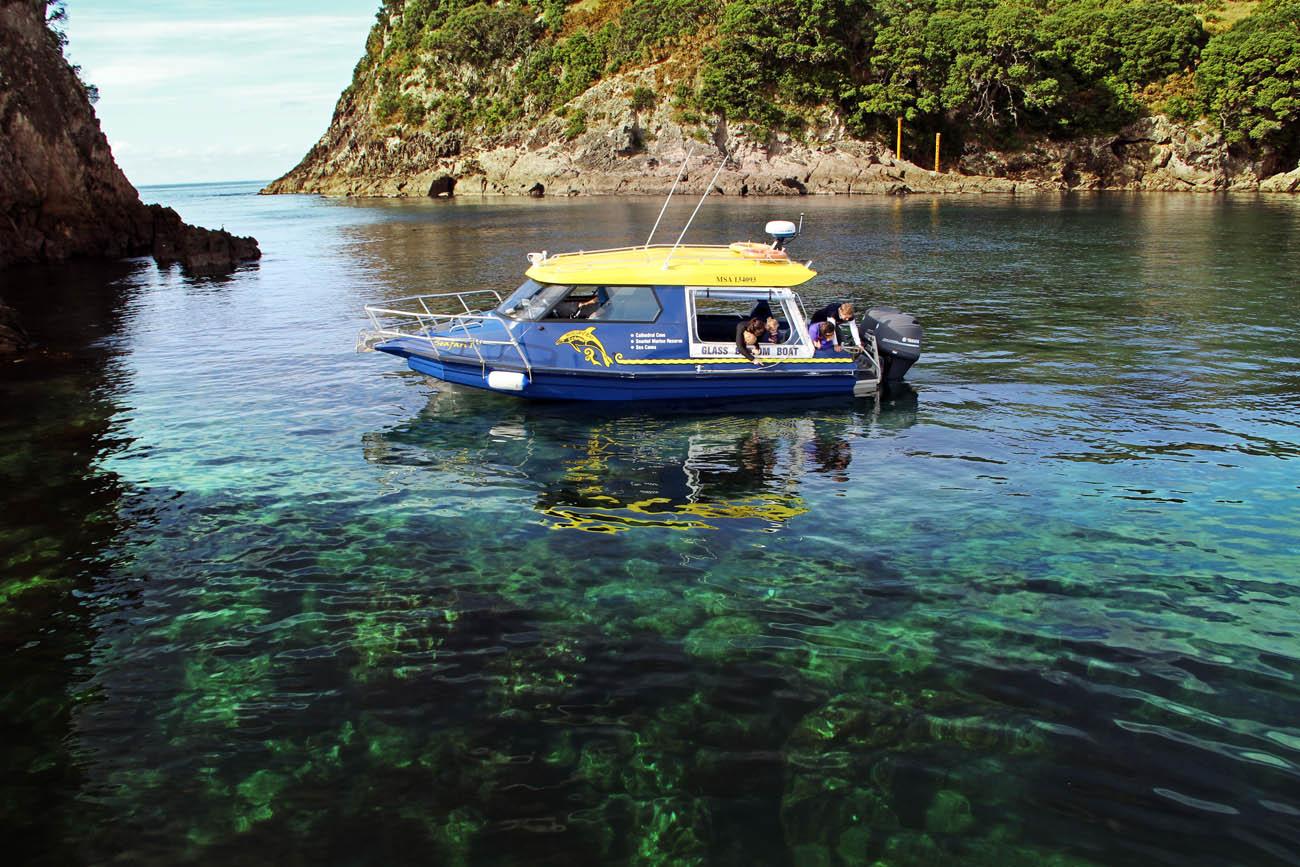 Cruising the Coromandel coastline on the Glass Bottom Boat