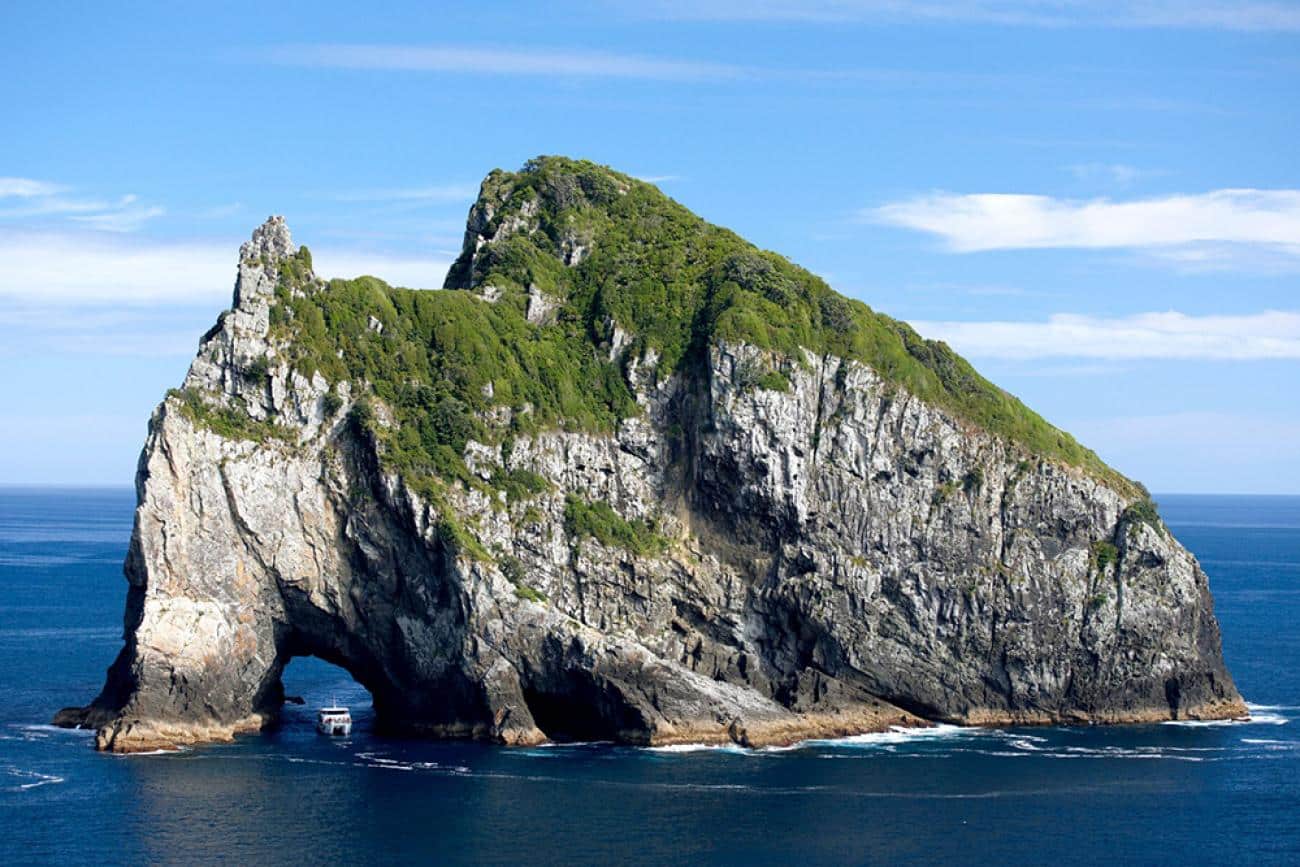 Hole in the Rock, Bay of Islands