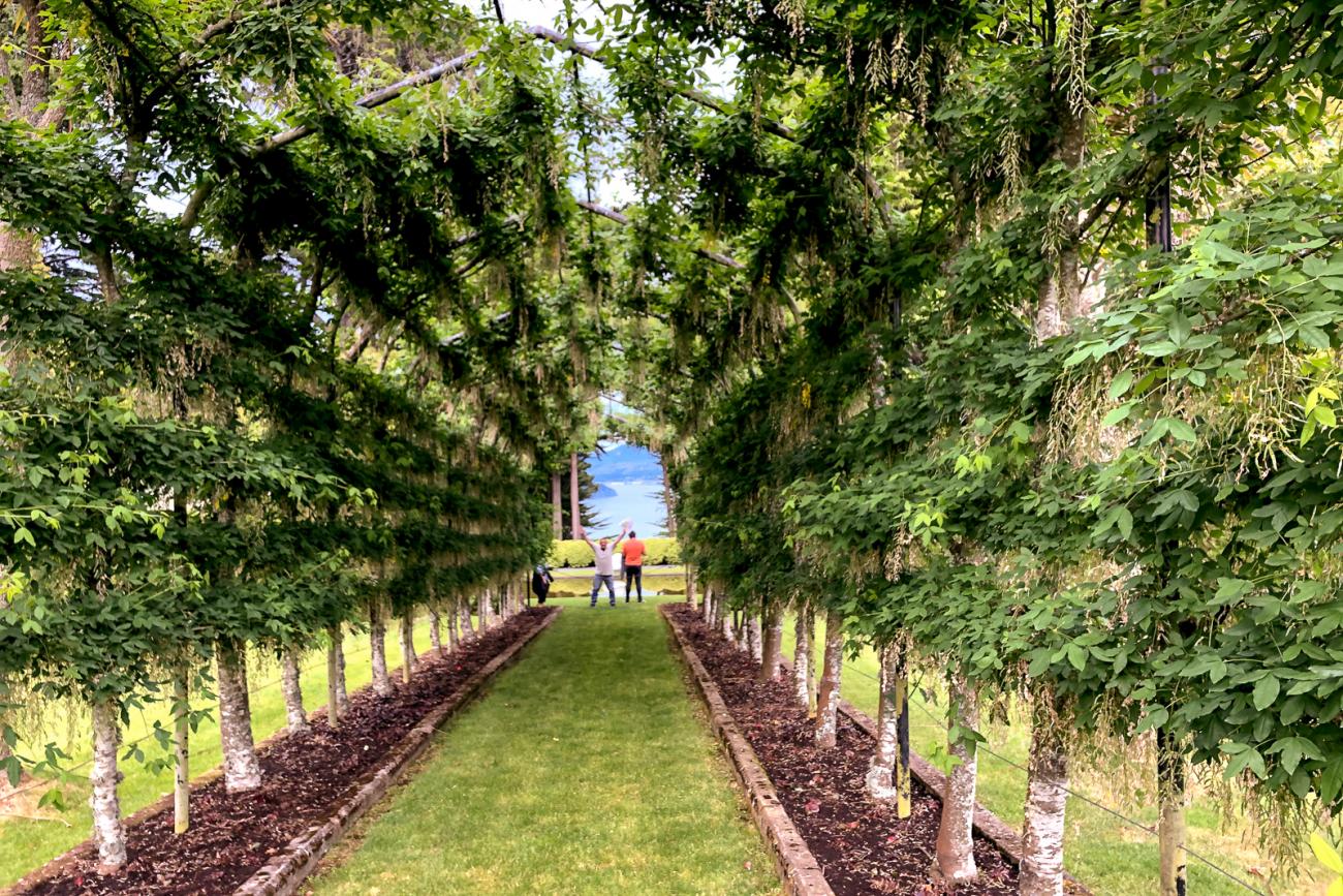 Garden Arch at Larnach Castle