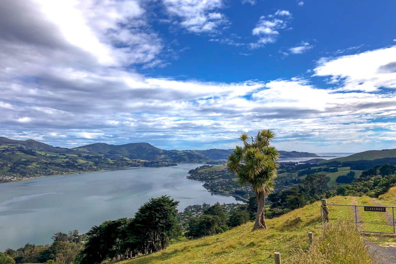 Otago Harbour from the Peninsula