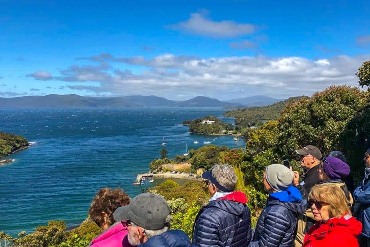 Above Paterson Inlet on Stewart Island