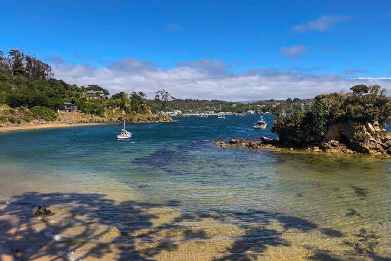 Halfmoon Bay, Stewart Island