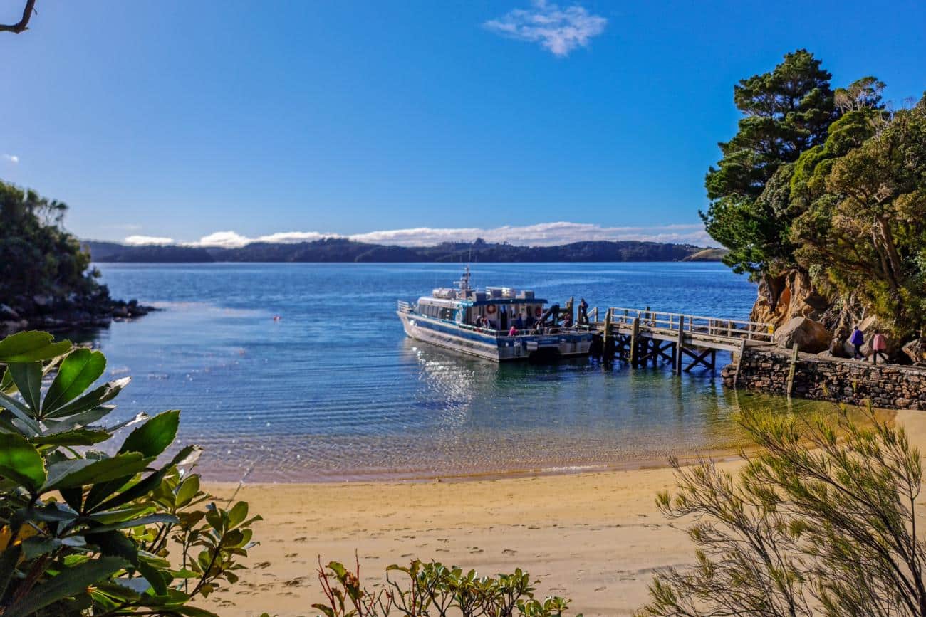 Ulva Island wharf, Stewart Island