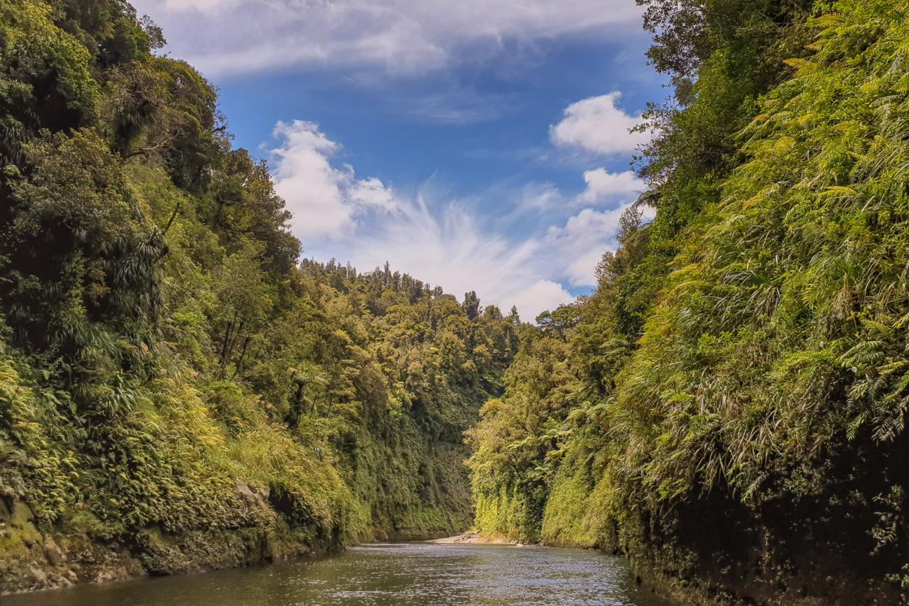 Views of the Whanganui River