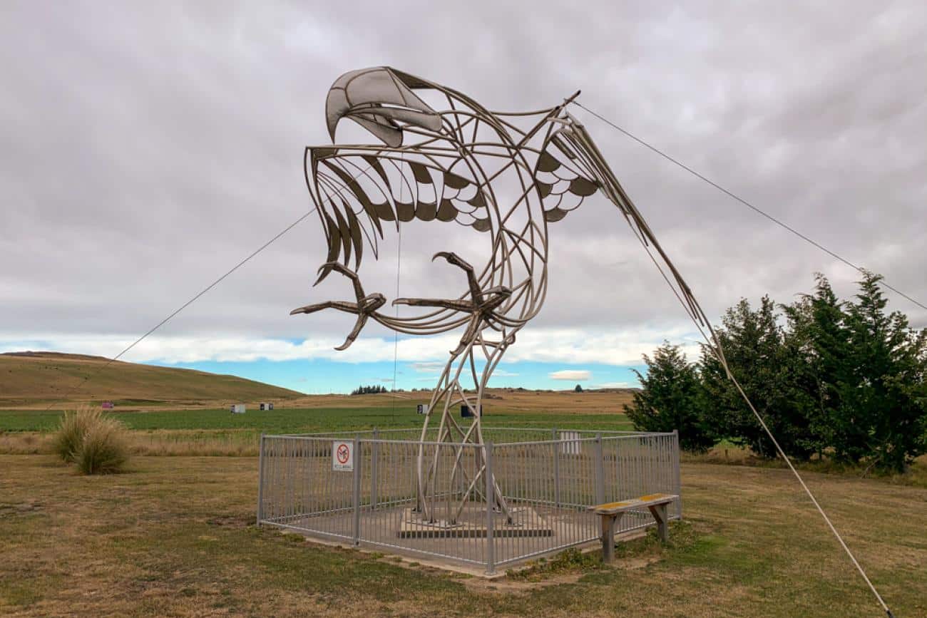 Haast Eagle in Macraes