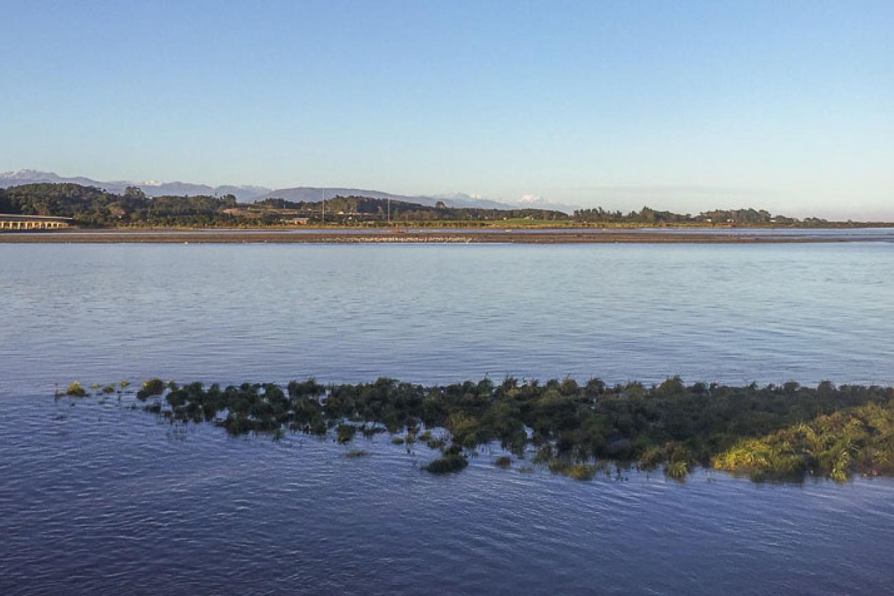 Blue sky view of Aoraki/Mt Cook from the Hokitika River