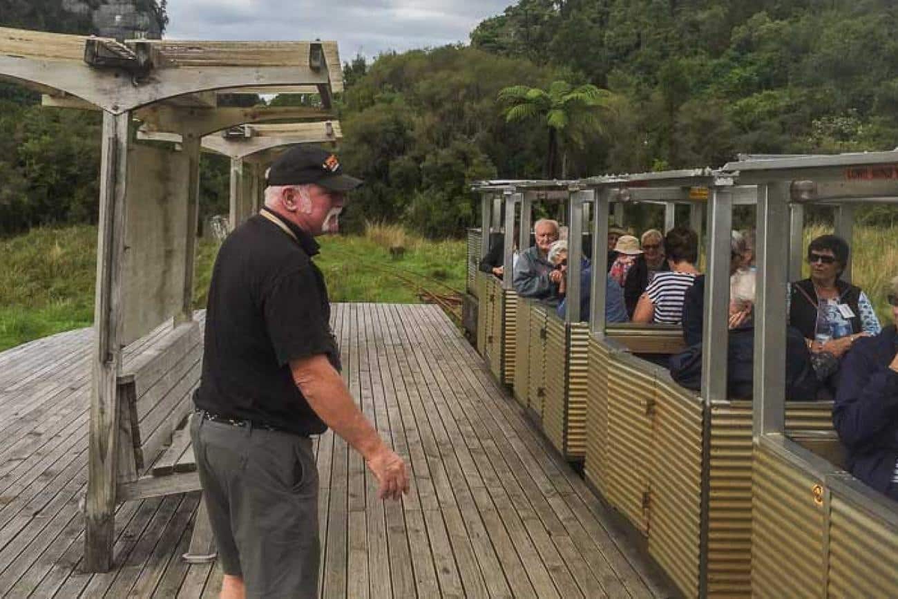 On the Nile River rainforest train