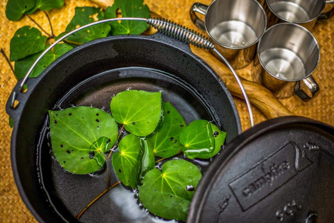 Maori herbal tea in Kohutapu Lodge