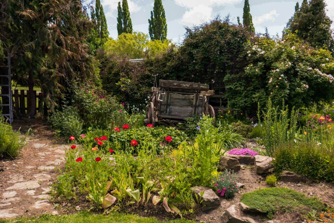 Spring flowers in bloom at Rayleen McNalley's Garden in Poolburn