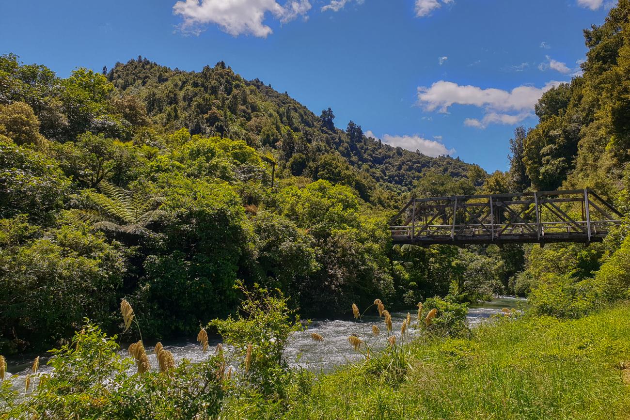 Manganuku bridge in the Waioeka Gorge