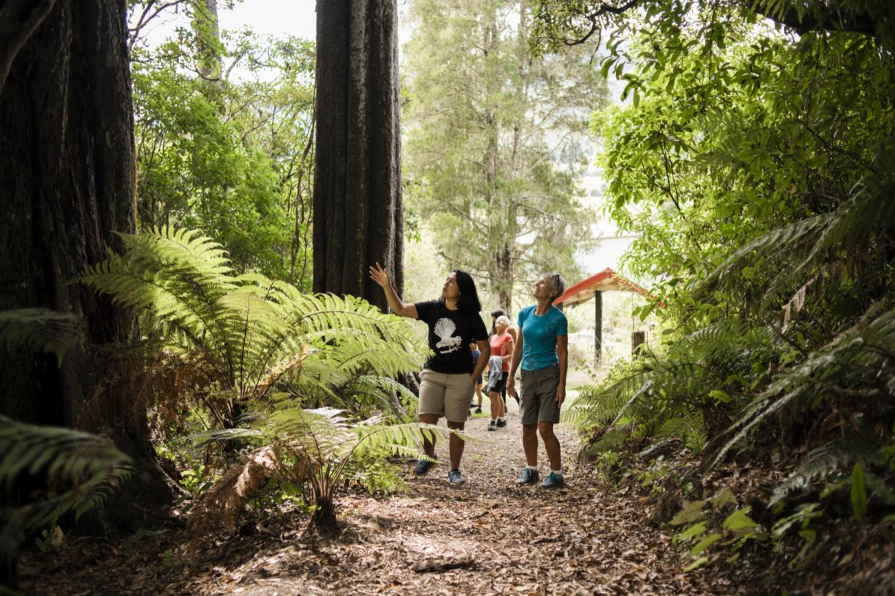 Walking with our guide in the Whirinaki forest