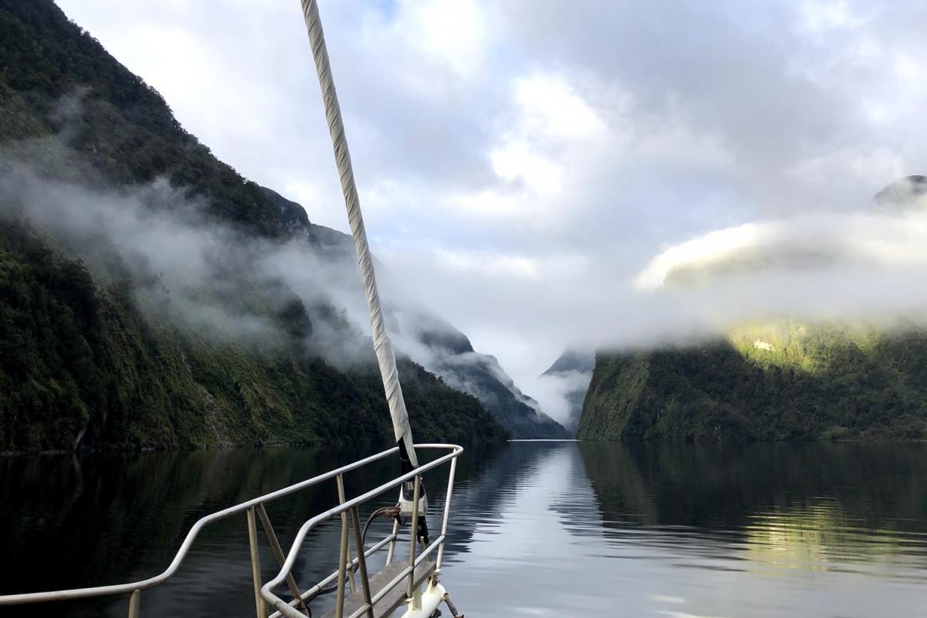 A misty morning on Doubtful Sound