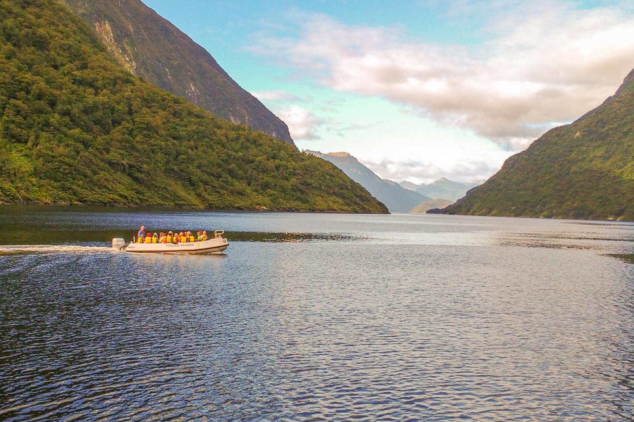 Exploring Doubtful Sound by tender