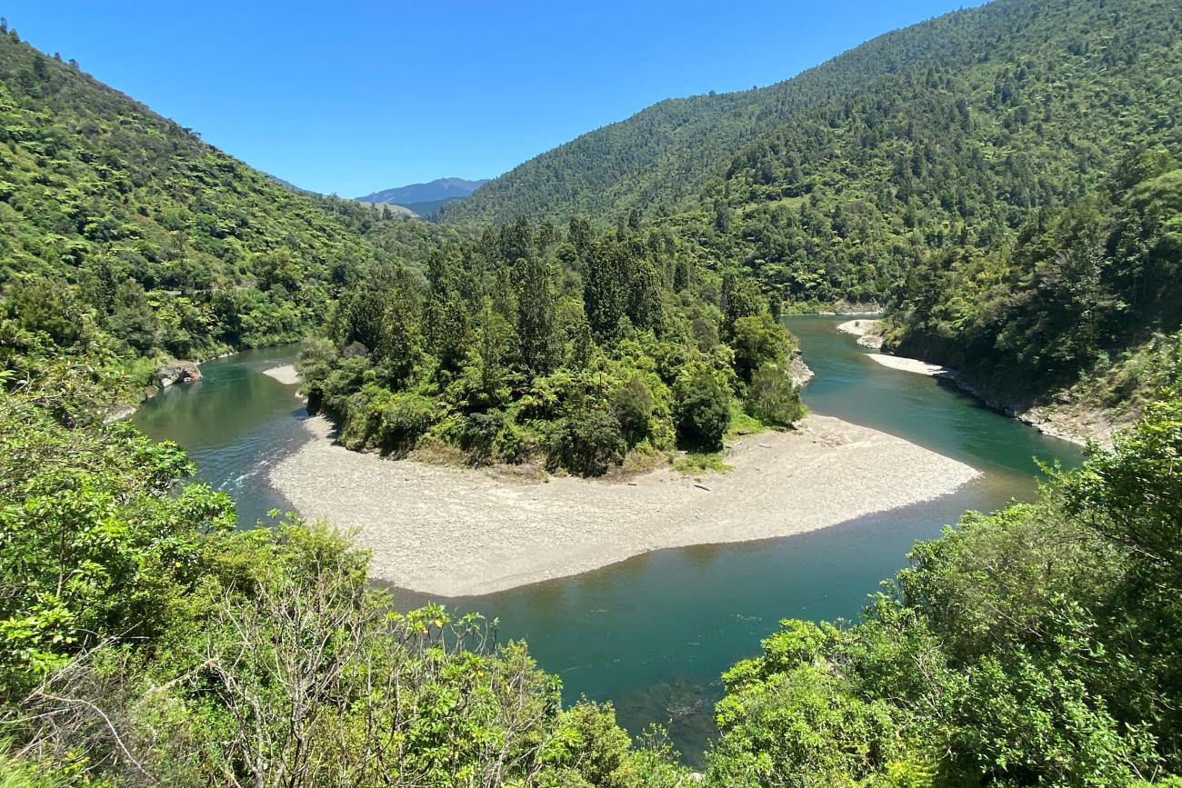 Waioeka Gorge