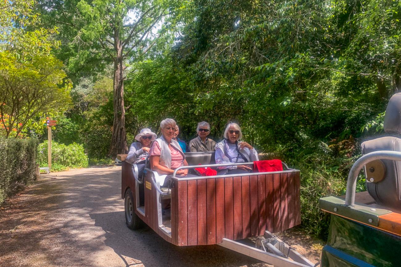 Guided tour at Eastwoodhill Arboretum