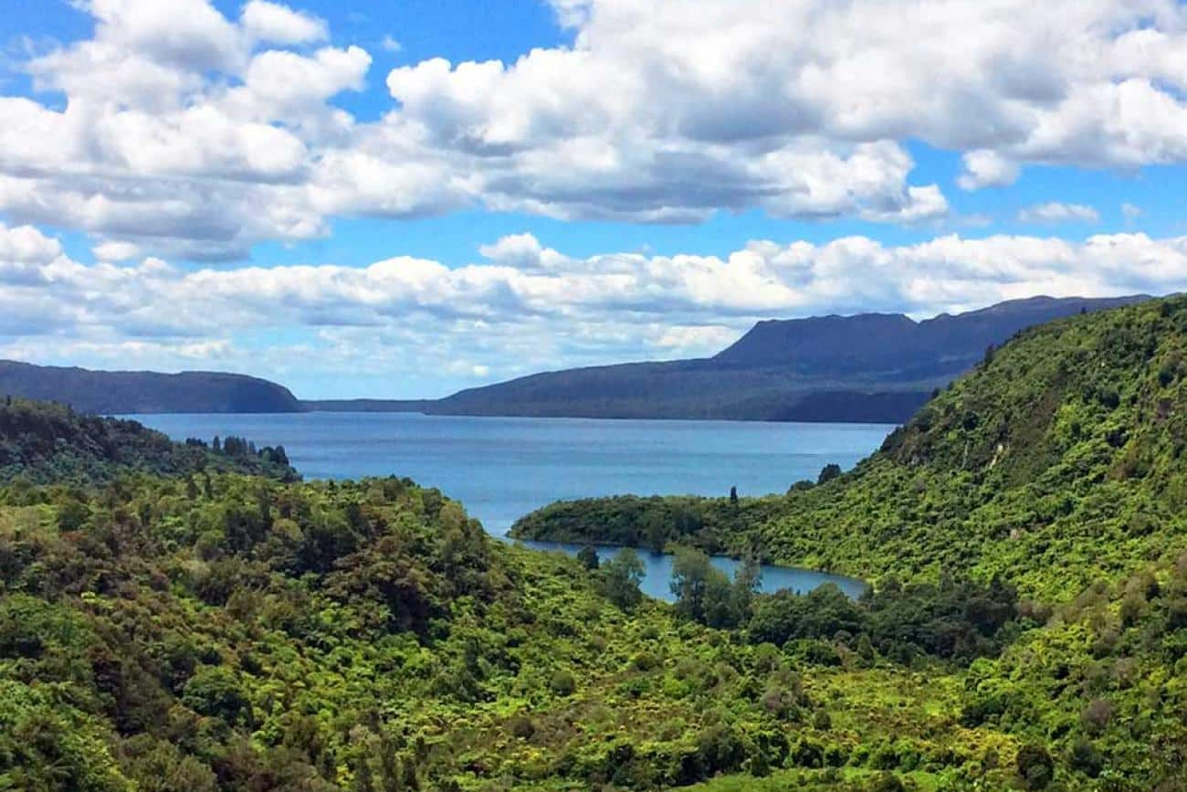 Lake Tarawera from the Lookout