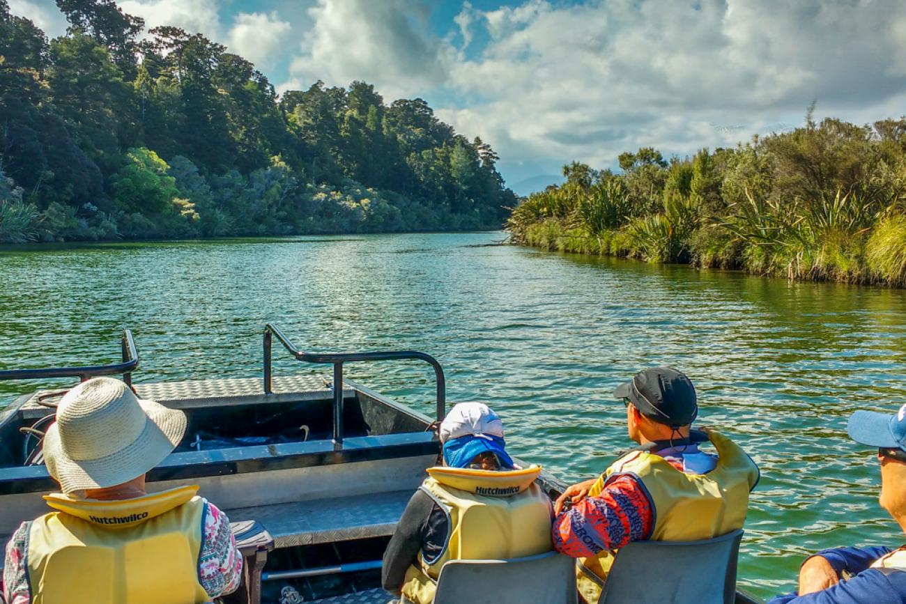 Wildlife cruise on Okarito Lagoon