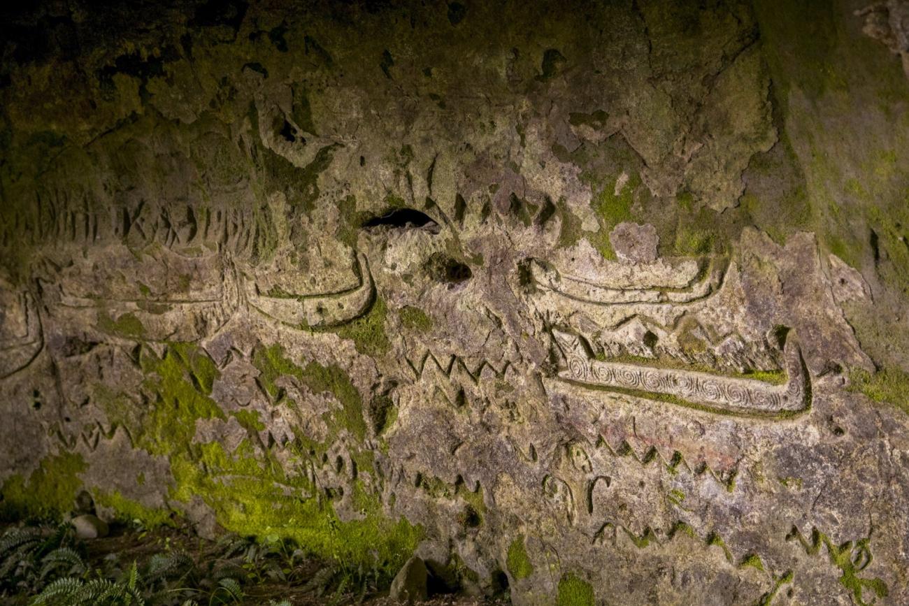 Maori rock art near Murupara