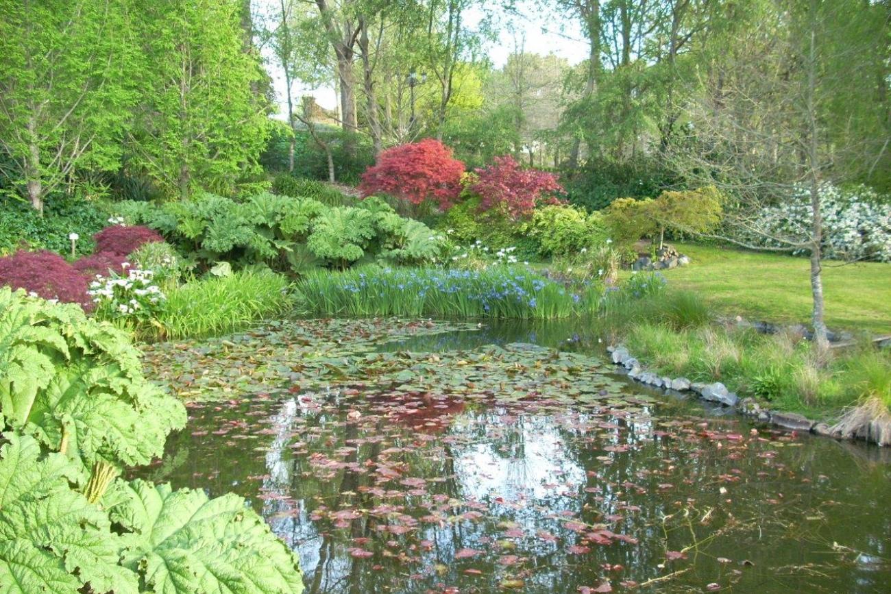 The pond at Moondance Manor