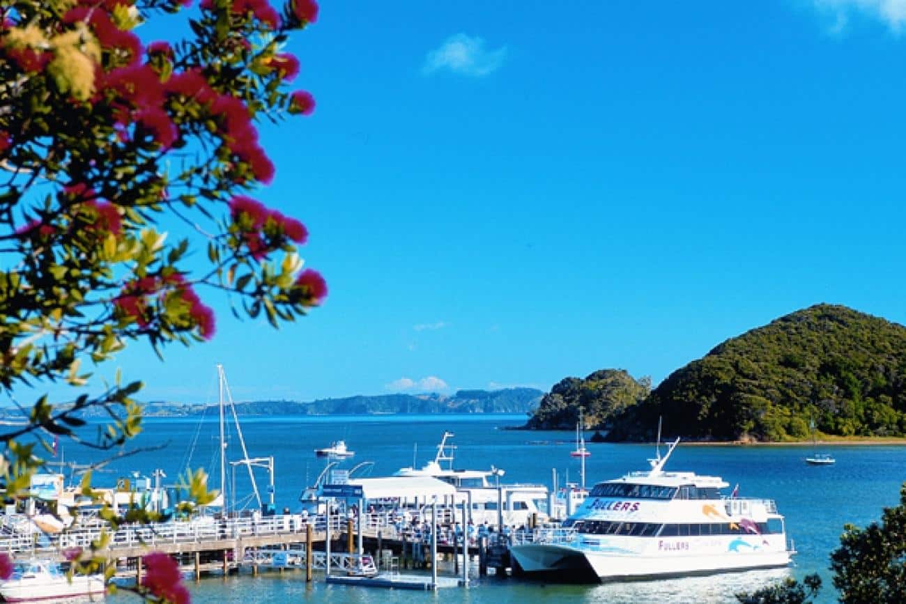 The Bay of Islands