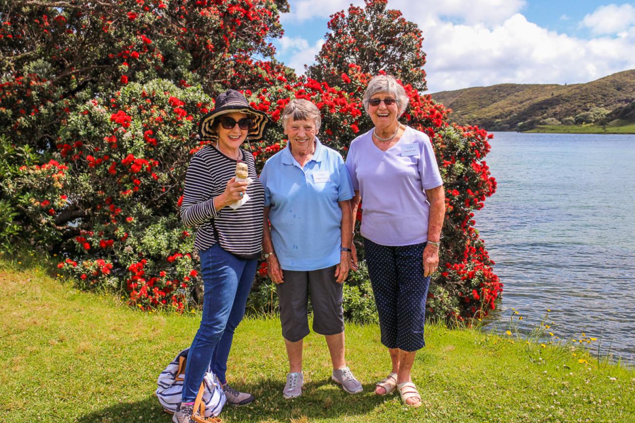 Picnic and pohutakawas at Houhora