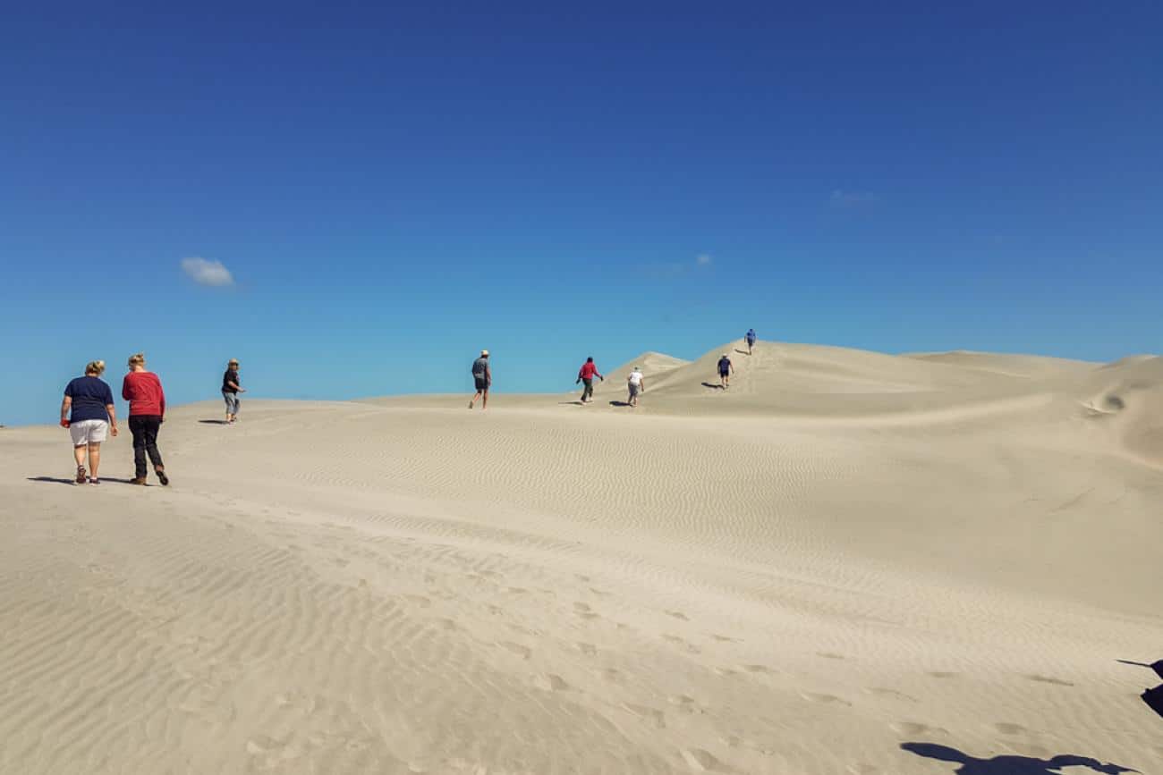 Walking the dunes on Farewell Spit