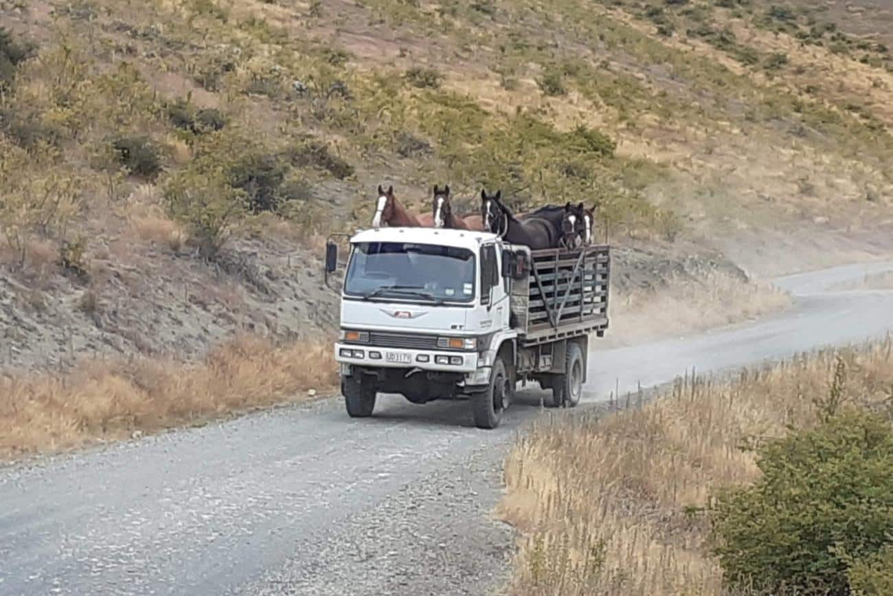 Horse Truck at Molesworth Station