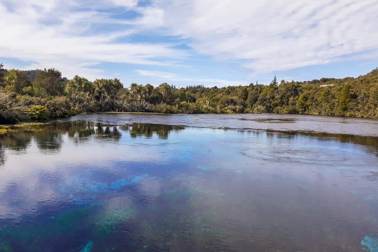 Waikoropupu Springs