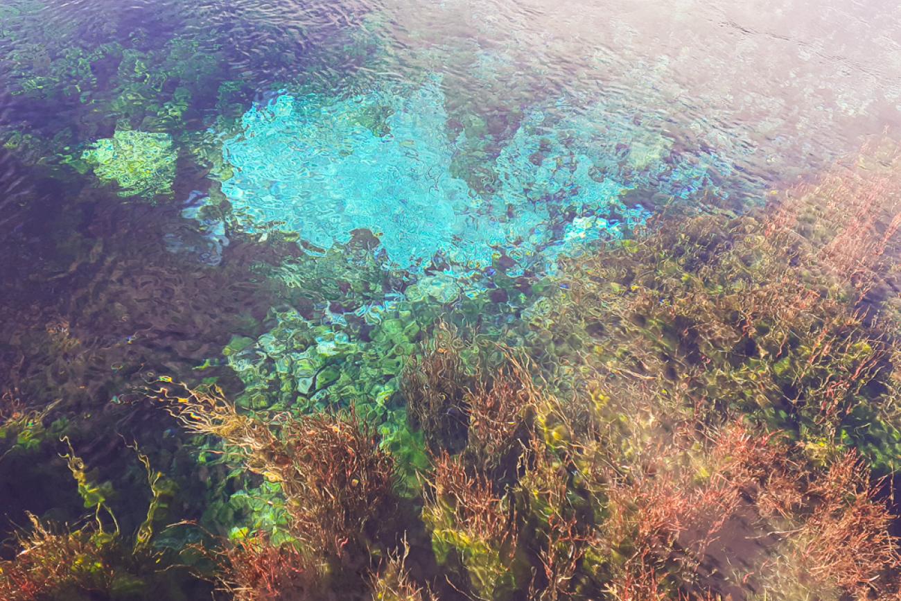 Crystal clear water at Waikoropupu Springs