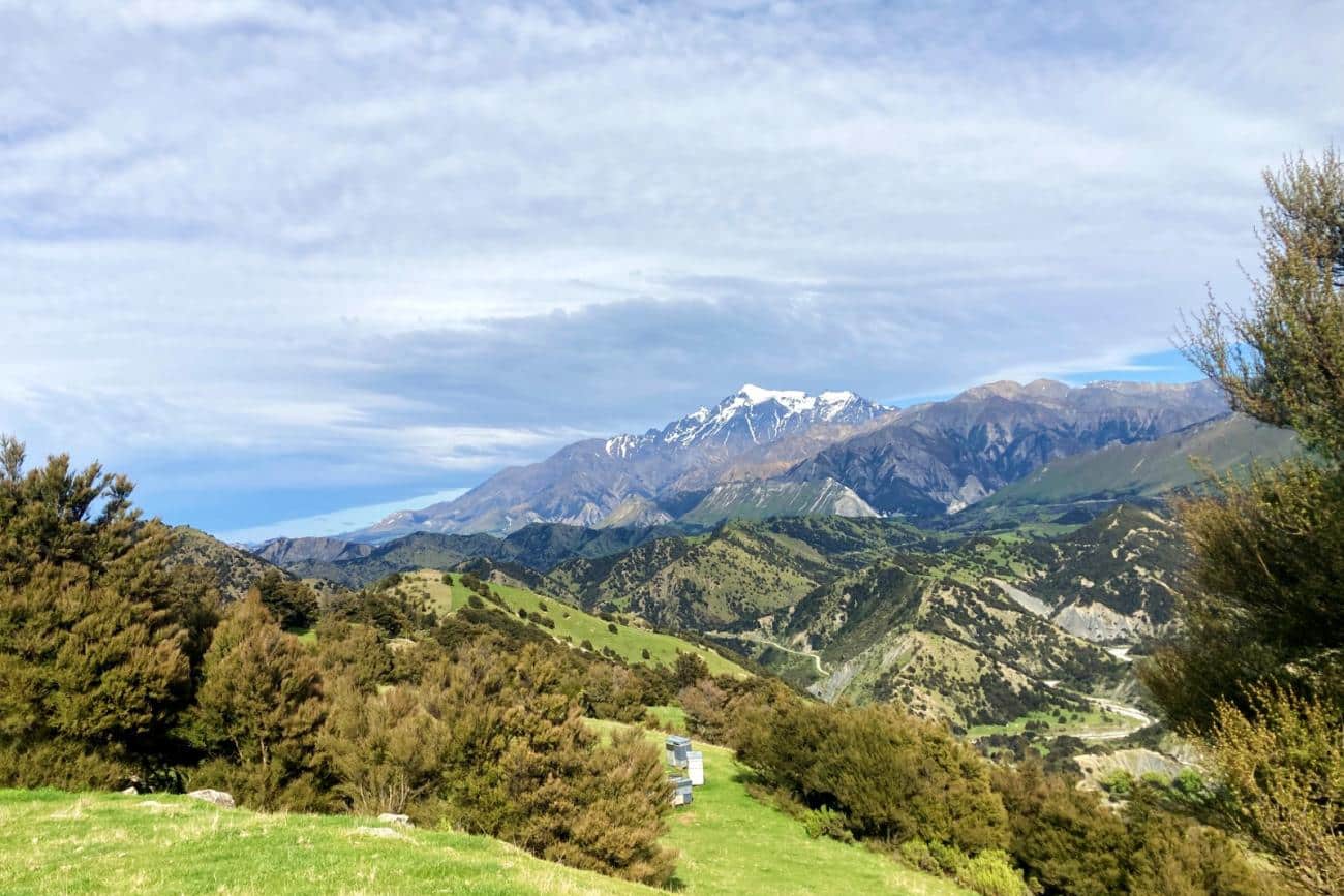 Looking toward Mt Tapuae-O-Uenuke on Bluff Station