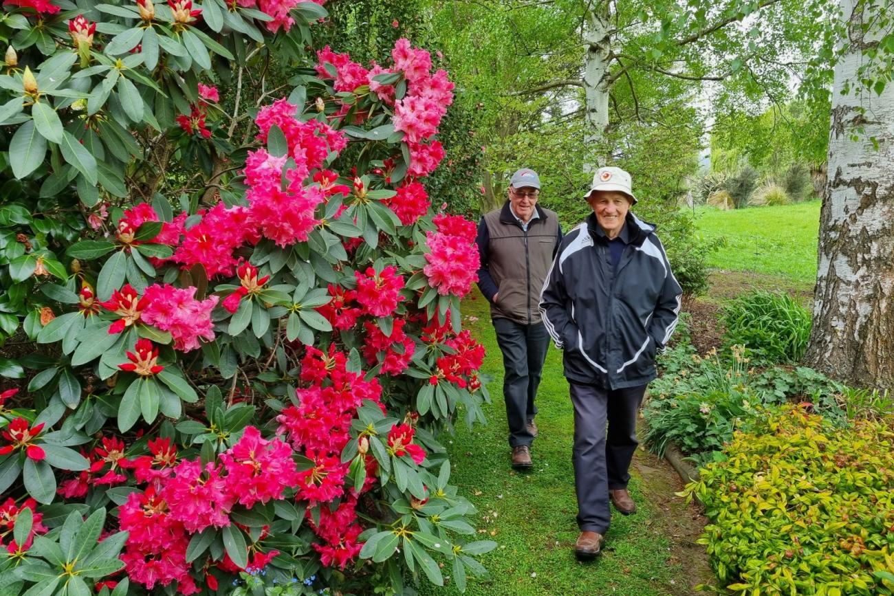 Coldstream Station in bloom