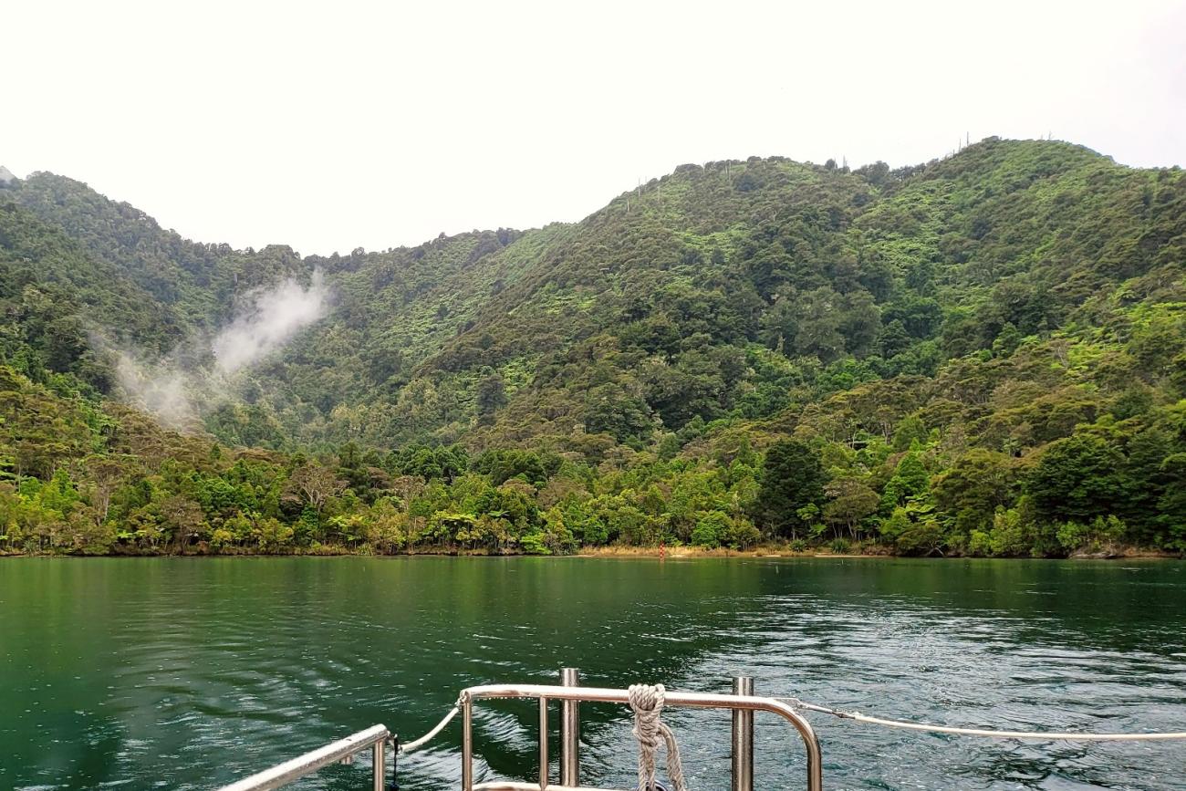 A quiet cove in the Queen Charlotte Sounds