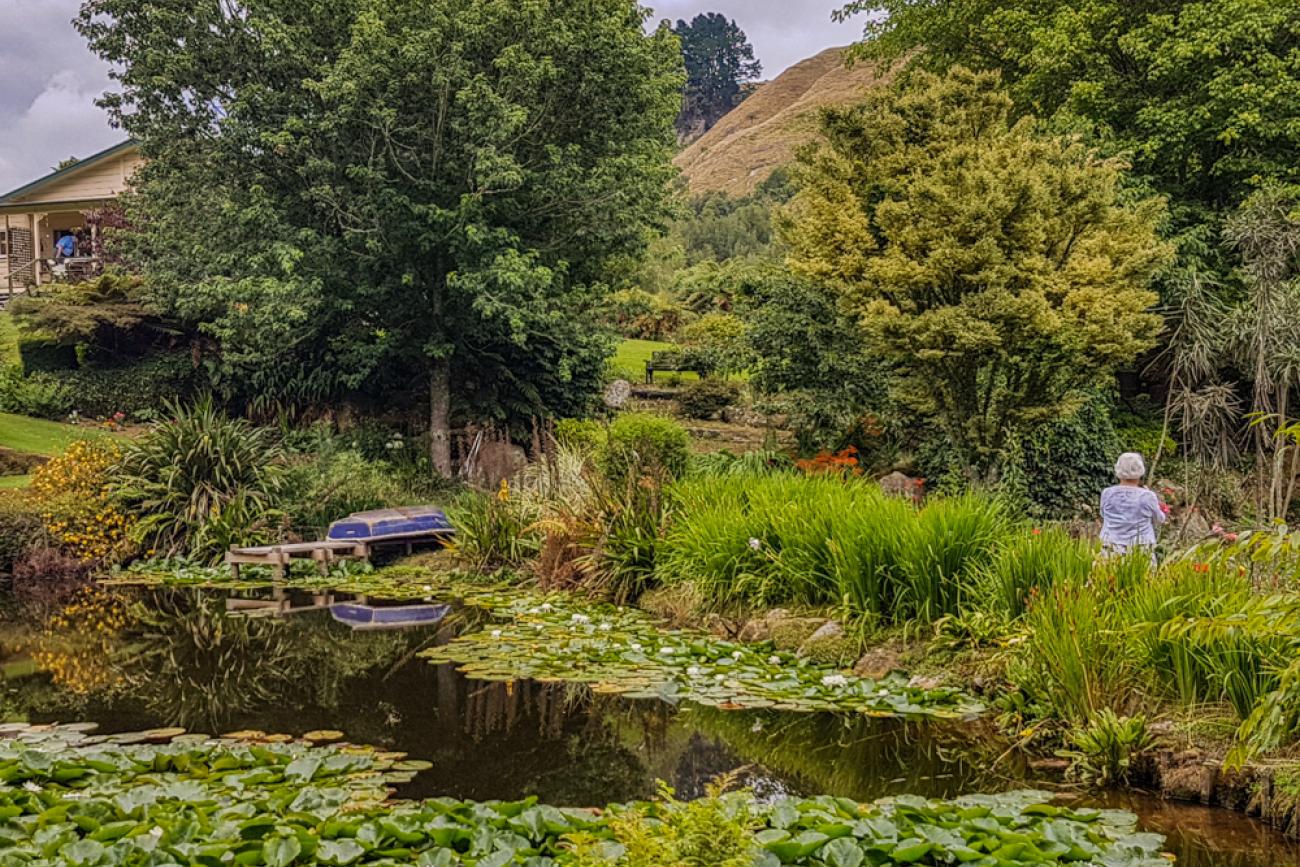 Exploring at Aramatai Gardens