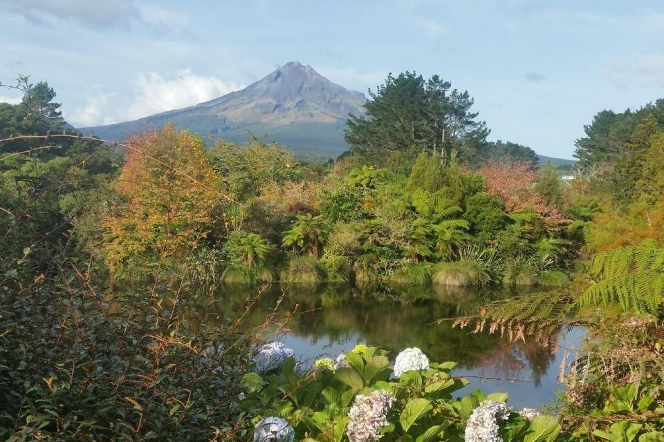 Views of Mt Taranaki from Hikurangi Garden