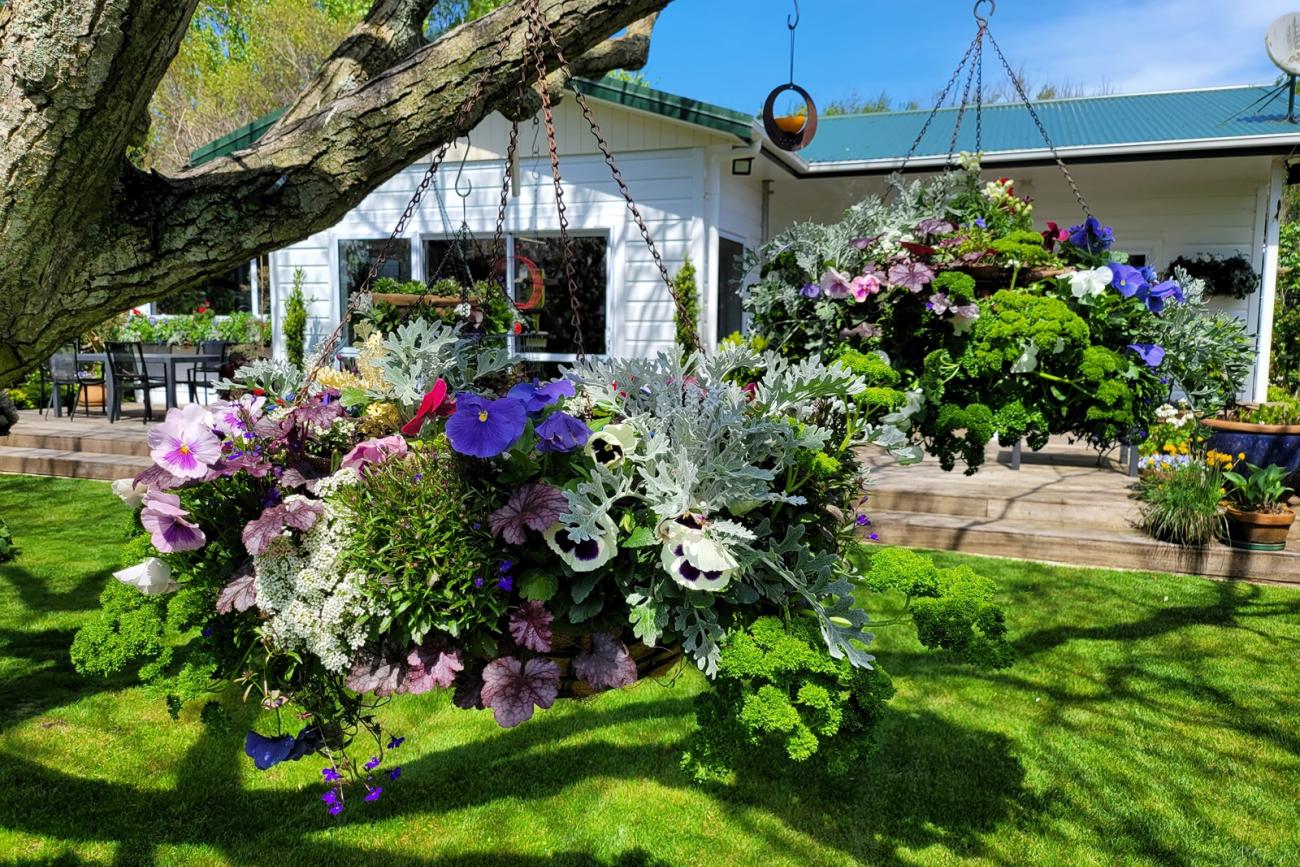 Oakley Garden hanging baskets