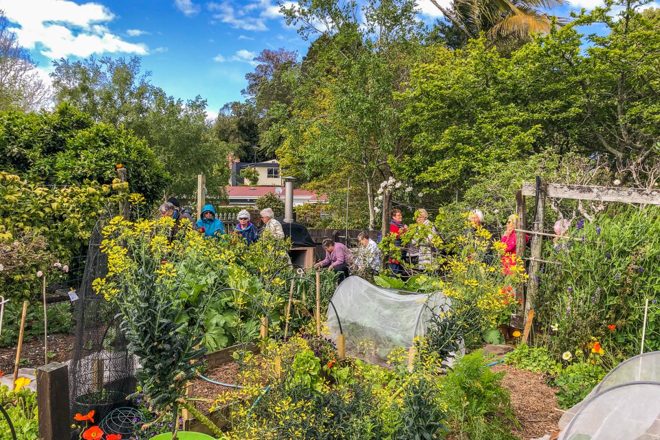 Visiting Te Kainga Marire Garden in Taranaki