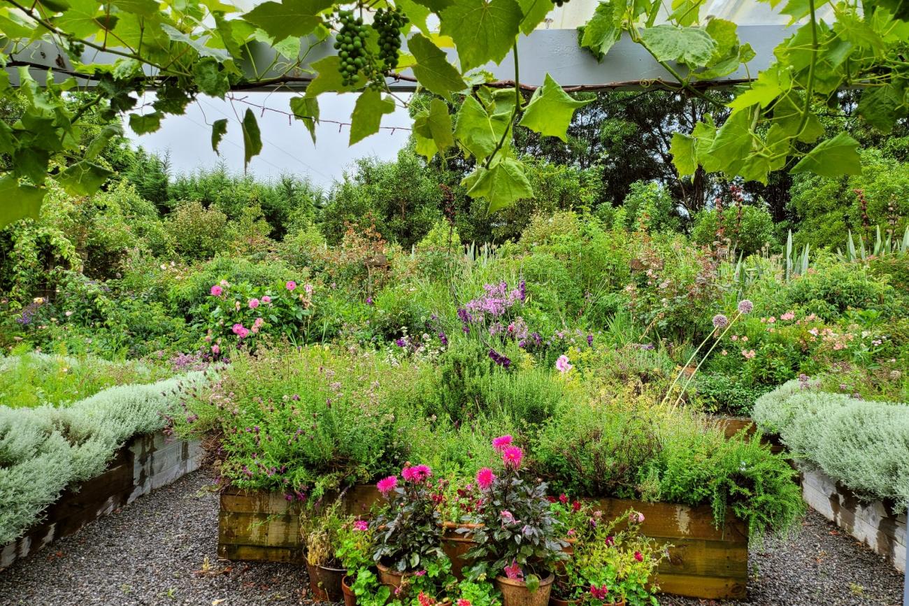 Longbush Cottage, a beautiful small Wairarapa garden