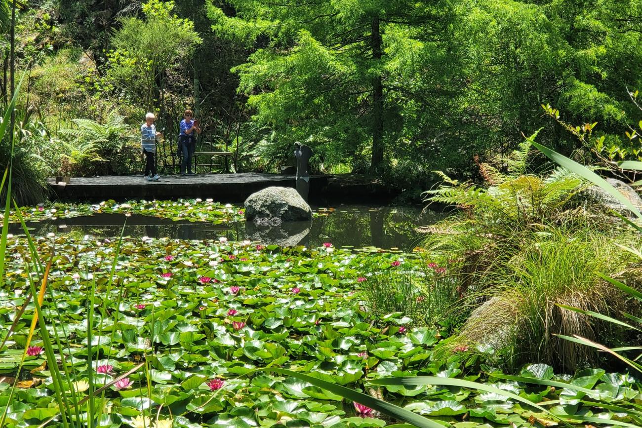 Discovering the amazing Waitakaruru Arboreturm