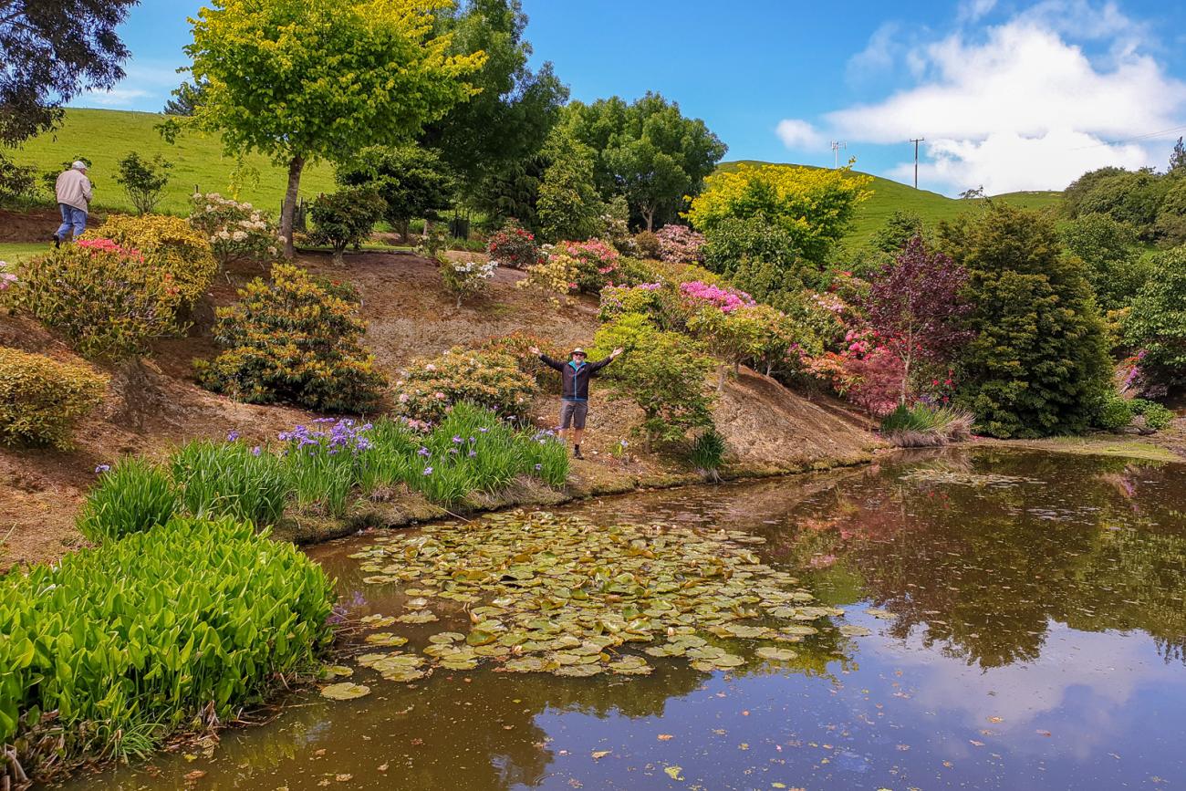 The pond at Braemore Garden